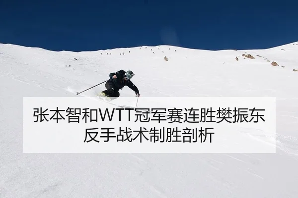 张本智和WTT冠军赛连胜樊振东反手战术制胜剖析